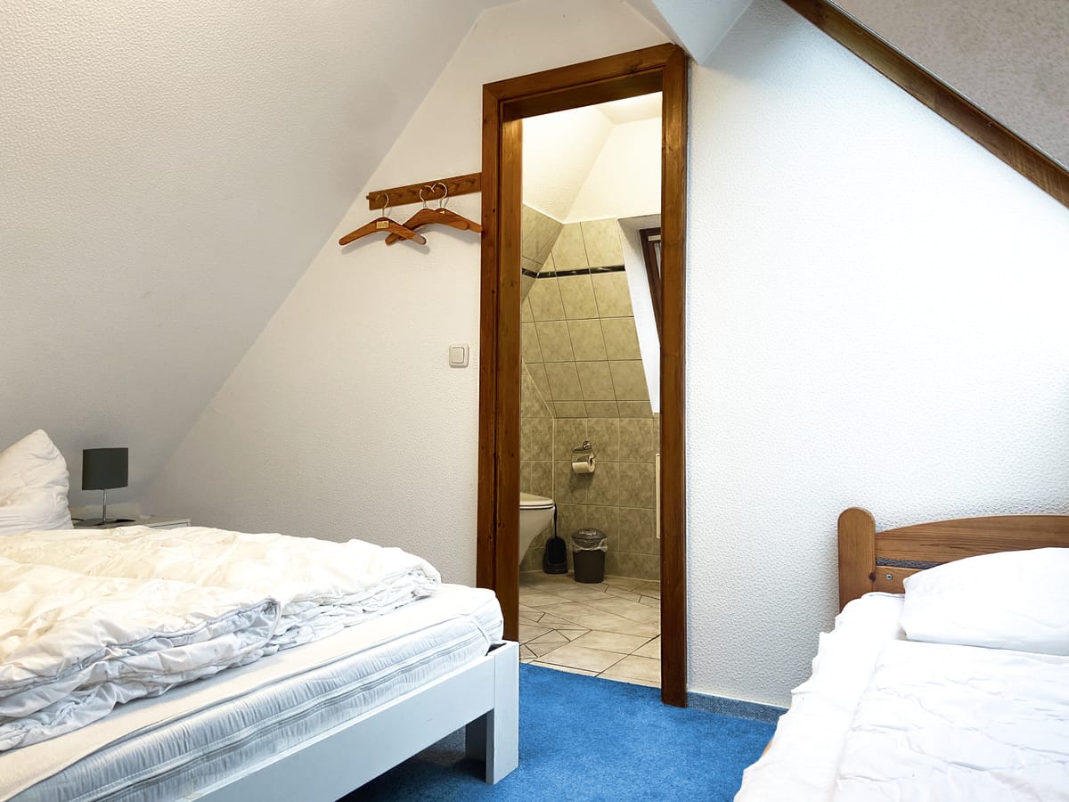 Muschel Bild 3